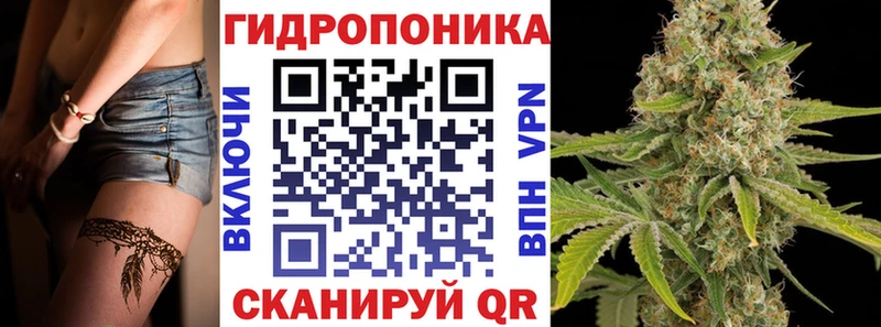 Как найти наркотики Зеленоградск кракен зеркало МЕФ A-PVP Гашиш Бошки Шишки Псилоцибиновые грибы