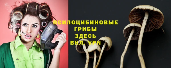 ALPHA-PVP Новодвинск