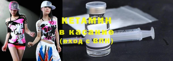 гидра Надым