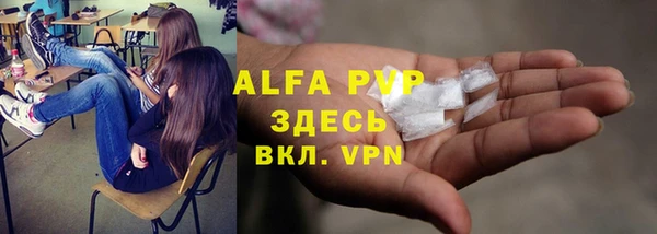 apvp Верея