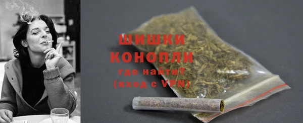 mdpv Новозыбков