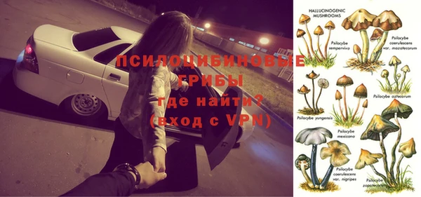 дурь Новокубанск