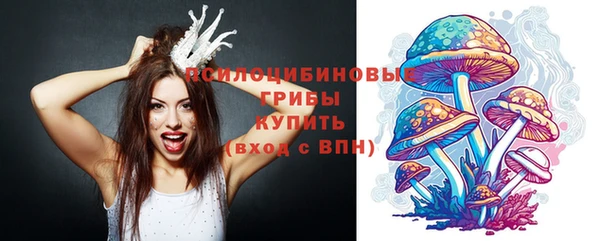 дурь Новокубанск