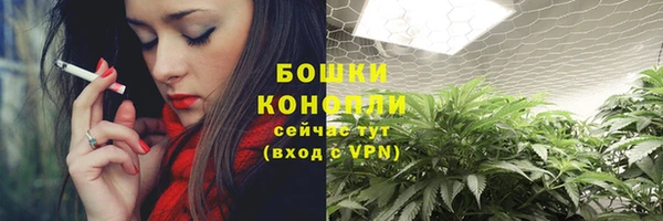mdpv Новозыбков