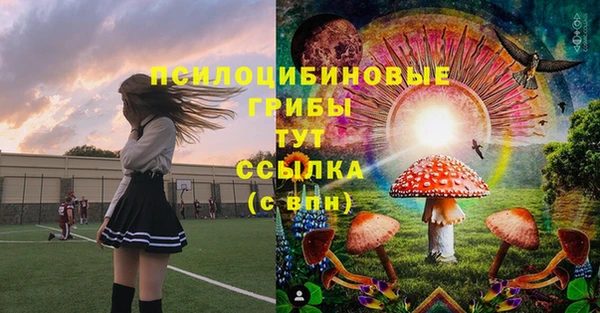 дурь Новокубанск