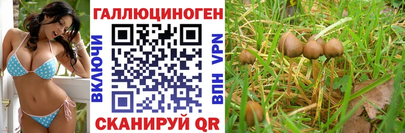Галлюциногенные грибы Psilocybine cubensis хочу наркоту Зеленоградск