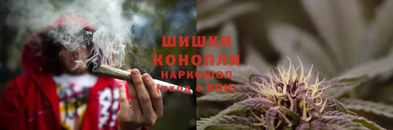 Конопля SATIVA & INDICA  закладки  Зеленоградск 